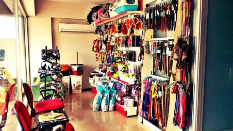 Kulübe Pet Shop & Pet Kuaför fotoğraf 4