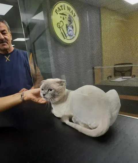 PATİ-WAY PET KUAFÖR & PET MARKET fotoğraf 5