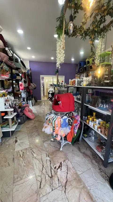 Başiskele coco pet shop (pet kuaförü) fotoğraf 3