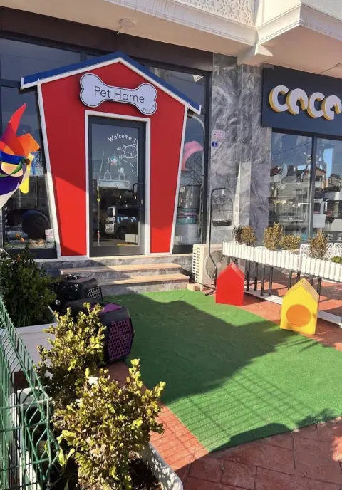 Başiskele coco pet shop (pet kuaförü) fotoğraf 5