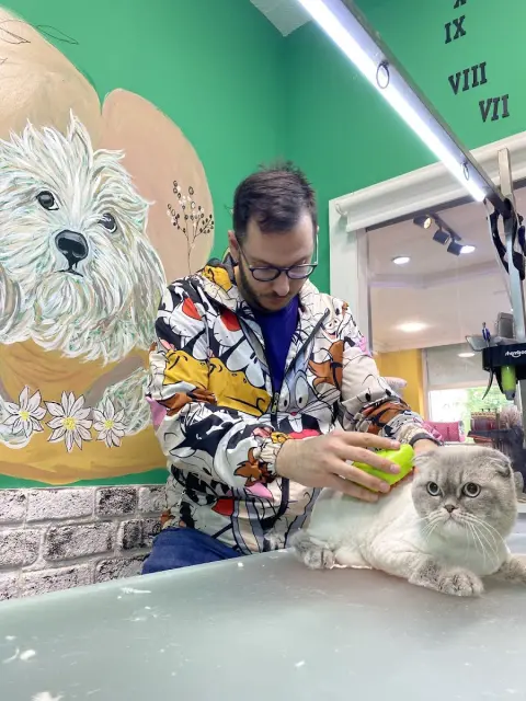 Pet Kuaför Eray Pets Gusto fotoğraf 4