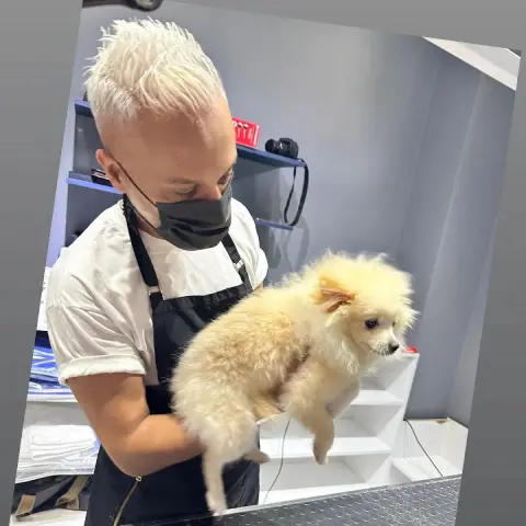 Pet kuaför beyaz fotoğraf 4