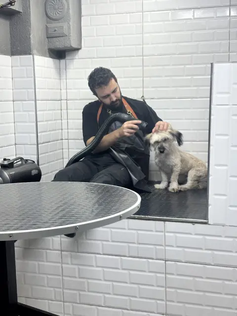 Denizli Star Pet Kuaför fotoğraf 5