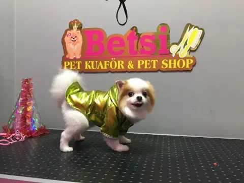 Betsi Pet Kuaför&Pet Shop fotoğraf 3