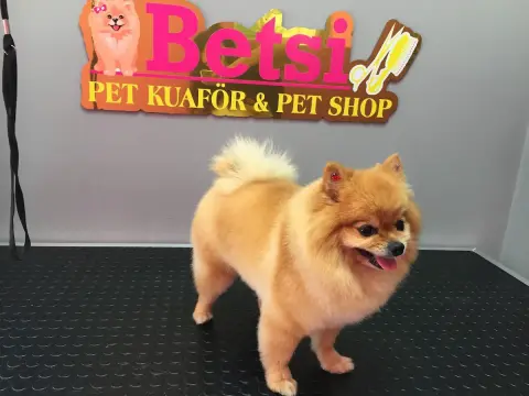 Betsi Pet Kuaför&Pet Shop fotoğraf 5