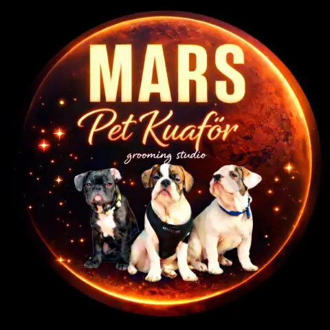 MarsPet Grooming (Mars Pet Kuaför) fotoğraf 4