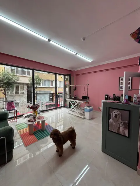 Motipet.co Şişli/Bomonti Pet Kuaför fotoğraf 2