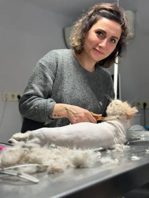 pax pati pet kuaför fotoğraf 2