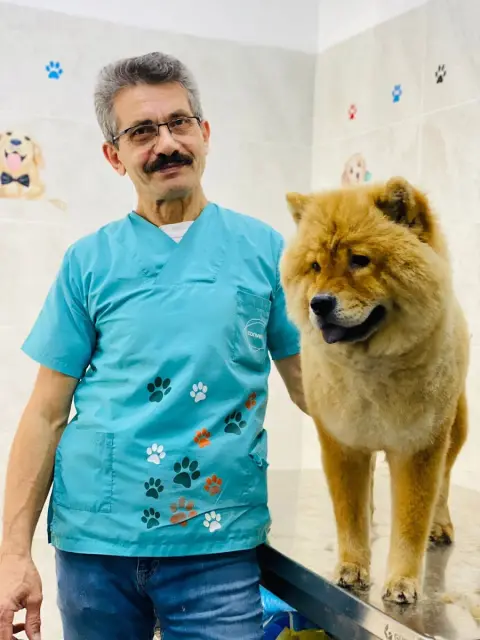 Pati pet kuaförü fotoğraf 5
