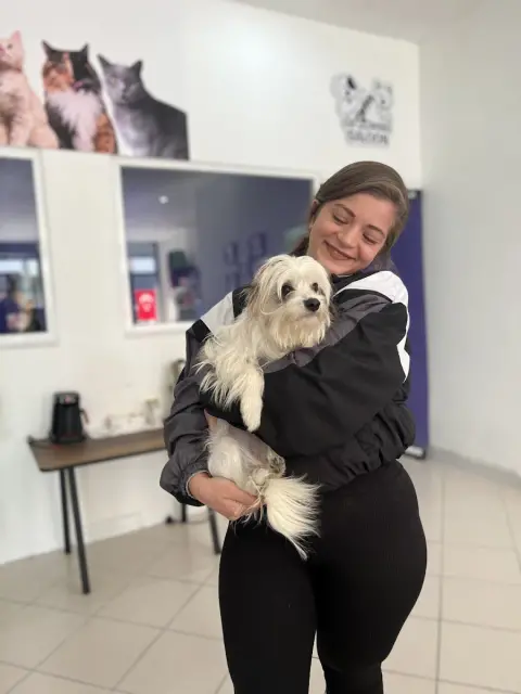 Pet Kuaför Pati Peri / @petkuaforpatiperi fotoğraf 3