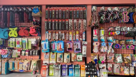 ER'EZ PETSHOP& KUAFÖR fotoğraf 5