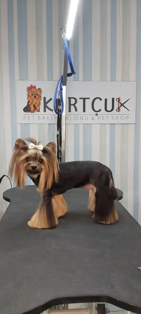 Kurtçuk Pet Kuaför fotoğraf 2