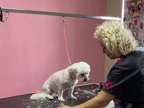 Çakırlar Batıkent Pet Kuafor Sibel fotoğraf 3