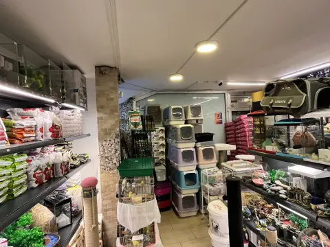 Bağdat Evcil Hayvan Mağazası Petshop & Pet Kuaför fotoğraf 2