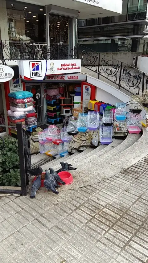 Bağdat Evcil Hayvan Mağazası Petshop & Pet Kuaför fotoğraf 4