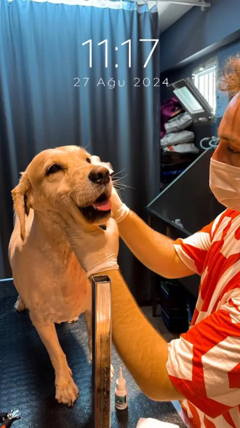 Bahçelievler Petshop & Kuaför Groomer fotoğraf 4