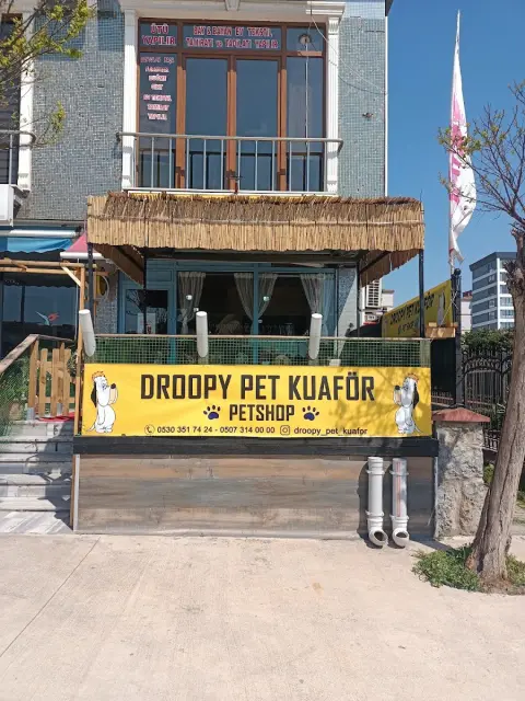 DROOPY PET KUAFÖR & PETSHOP fotoğraf 4