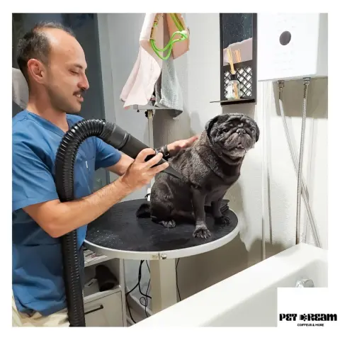 Petdream Pet Kuaför ve Pet Otel fotoğraf 5