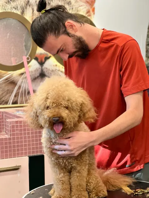 Maçka Pet Kuaför fotoğraf 4