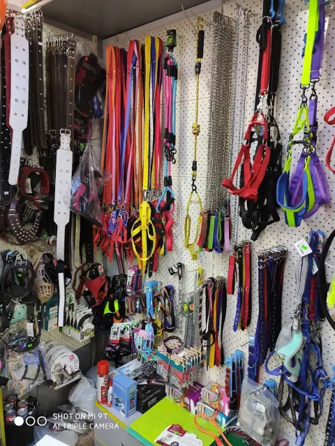 Almina pet shop & pet kuaför fotoğraf 4