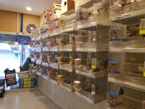 Almina pet shop & pet kuaför fotoğraf 5