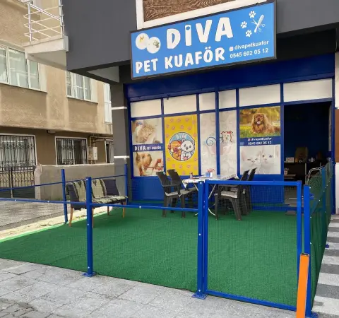 Diva pet kuaför fotoğraf 3