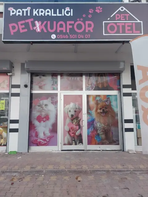 Pati krallığı pet kuaför pet otel fotoğraf 2