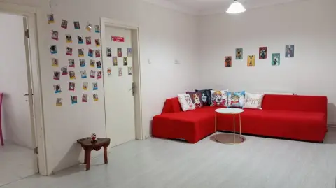Minik Pet Otel / Kuaför fotoğraf 2