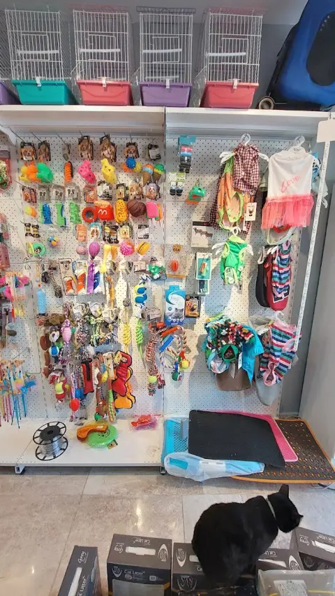 Pet Base Pet Shop & Pet Kuaför (Ayazağa&Maslak&Vadi İstanbul)