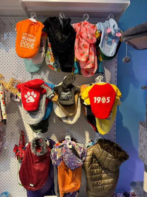 Pet Base Pet Shop & Pet Kuaför (Ayazağa&Maslak&Vadi İstanbul) fotoğraf 3