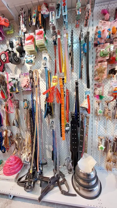 Pet Base Pet Shop & Pet Kuaför (Ayazağa&Maslak&Vadi İstanbul) fotoğraf 4