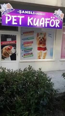 Şanslı Pet Kuaför fotoğraf 2