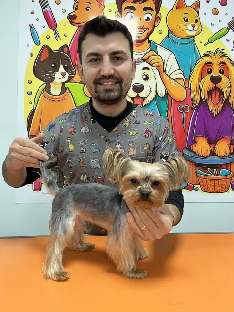 DÜZCE PET KUAFÖRÜ&PETSHOP&PET OTELİ fotoğraf 2