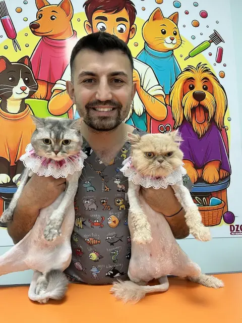 DÜZCE PET KUAFÖRÜ&PETSHOP&PET OTELİ fotoğraf 3