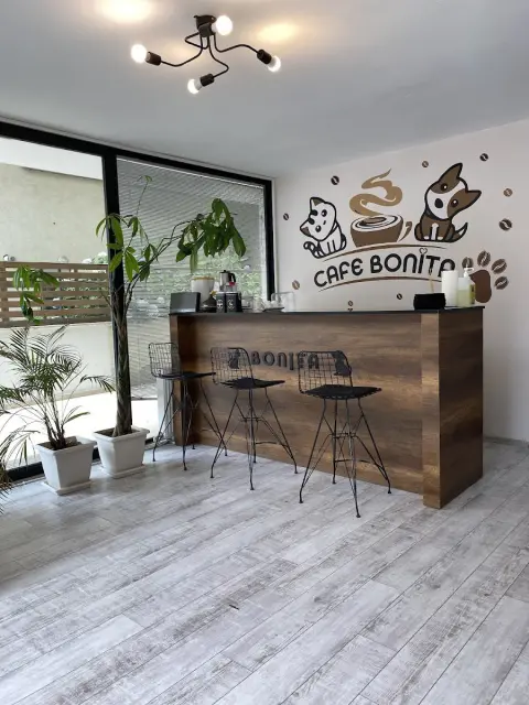 BONİTA PET KUAFÖR VE PET SHOP / ÇEKMEKÖY fotoğraf 2