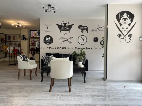 BONİTA PET KUAFÖR VE PET SHOP / ÇEKMEKÖY fotoğraf 3