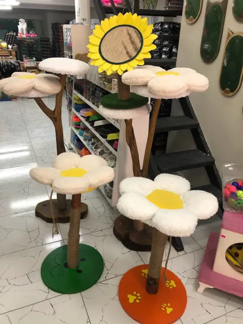 Zo Zo Pet Shop - Pet Kuaför fotoğraf 4