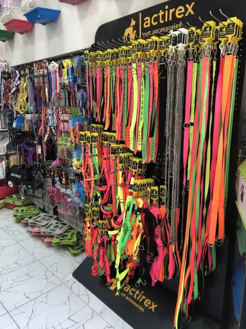 Zo Zo Pet Shop - Pet Kuaför fotoğraf 5