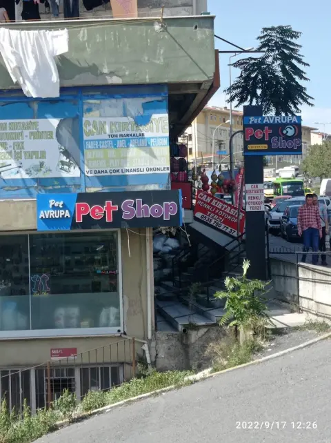 PATİ AVRUPA PETSHOP PET KUAFÖR GAZİOSMANPAŞA fotoğraf 2