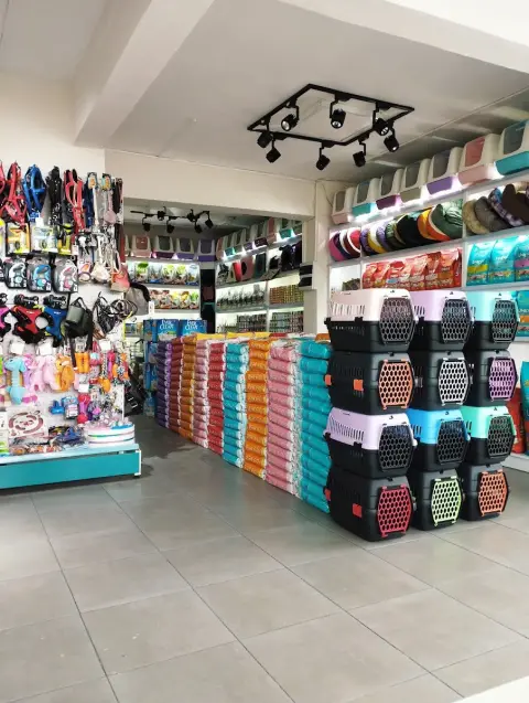 PATİ AVRUPA PETSHOP PET KUAFÖR GAZİOSMANPAŞA fotoğraf 3