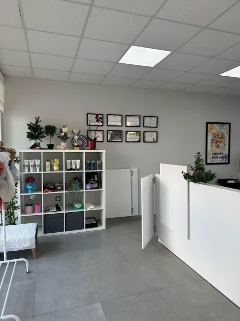 INFINITY / Pet Kuaför ve Pet Kuaför Eğitim Merkezi fotoğraf 5