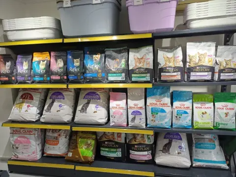 Bobo Pet Kuaför & Pet Market fotoğraf 5