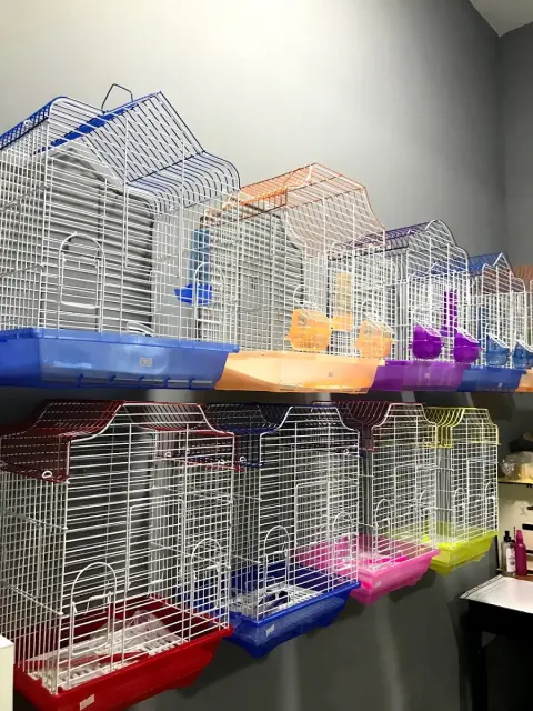 Lider Plus Pet Shop & Pet Kuaför fotoğraf 5
