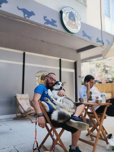 woof gang pet kuaför fotoğraf 4