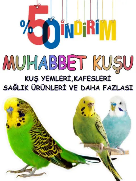Buca Petrick Petshop & Pet Kuaför fotoğraf 3