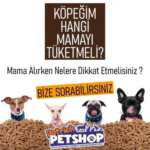 Buca Petrick Petshop & Pet Kuaför fotoğraf 4