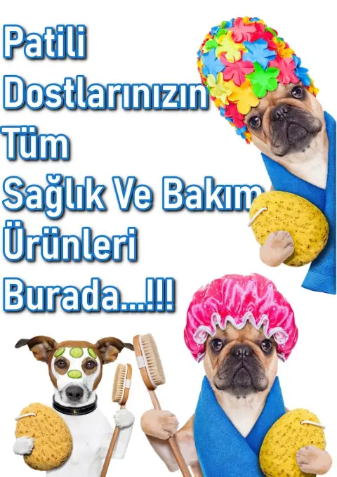 Buca Petrick Petshop & Pet Kuaför fotoğraf 5