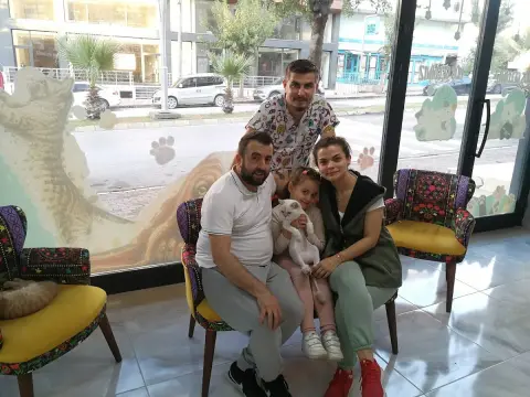Darıca Kedi Oteli ve Pet Kuaför fotoğraf 3