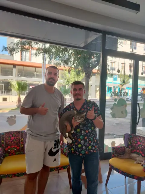 Darıca Kedi Oteli ve Pet Kuaför fotoğraf 5