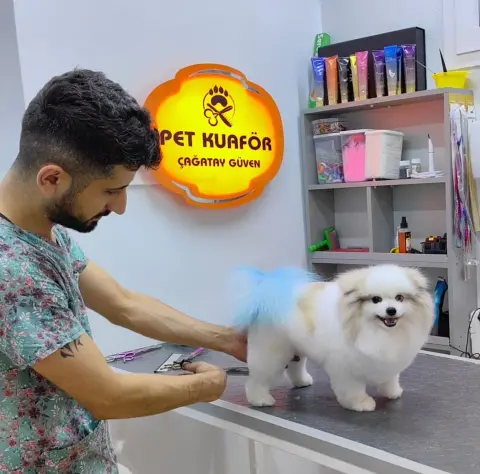 Pet Kuaför ÇAĞATAY GÜVEN fotoğraf 4